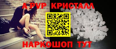 прущие крисы Будённовск