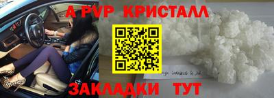 прущие крисы Будённовск