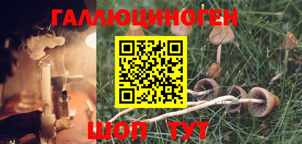 Псилоцибиновые грибы GOLDEN TEACHER Заречный
