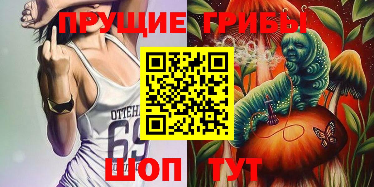 Галлюциногенные грибы Magic Shrooms  Вход с VPN  где продают наркотики  Заречный 